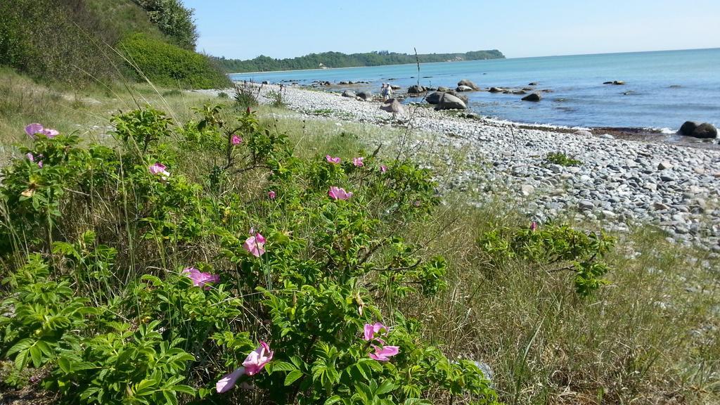 Ferienwohnungen Ruegen Findling Breege Buitenkant foto