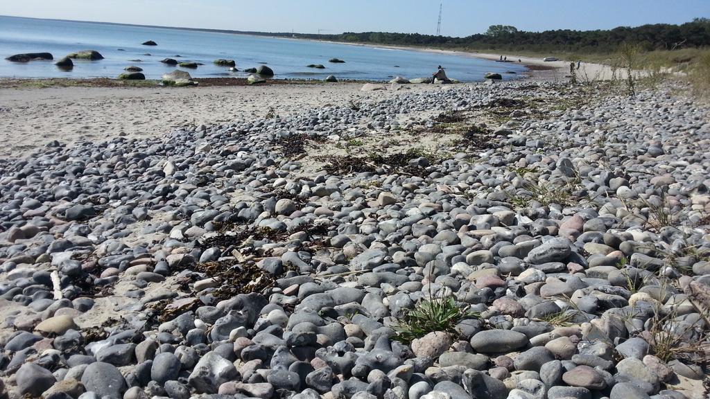 Ferienwohnungen Ruegen Findling Breege Buitenkant foto