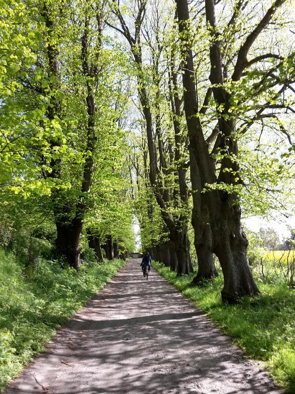 Ferienwohnungen Ruegen Findling Breege Buitenkant foto