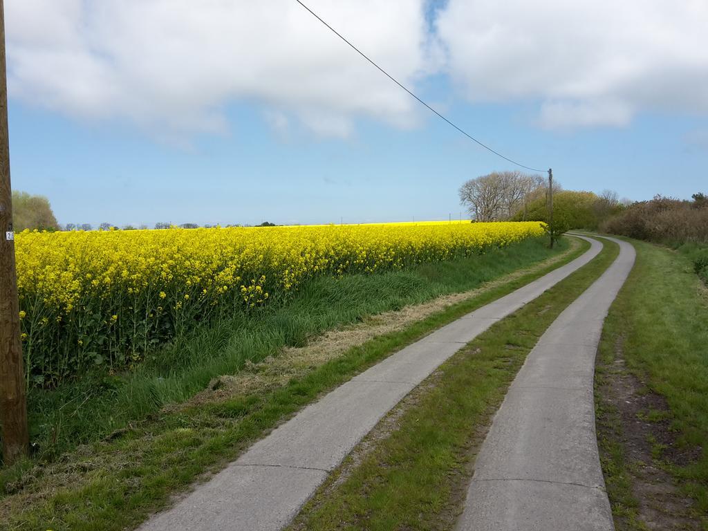 Ferienwohnungen Ruegen Findling Breege Buitenkant foto