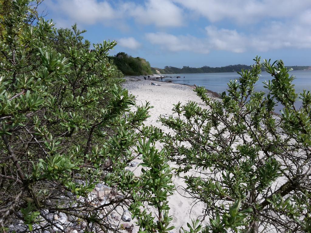 Ferienwohnungen Ruegen Findling Breege Buitenkant foto