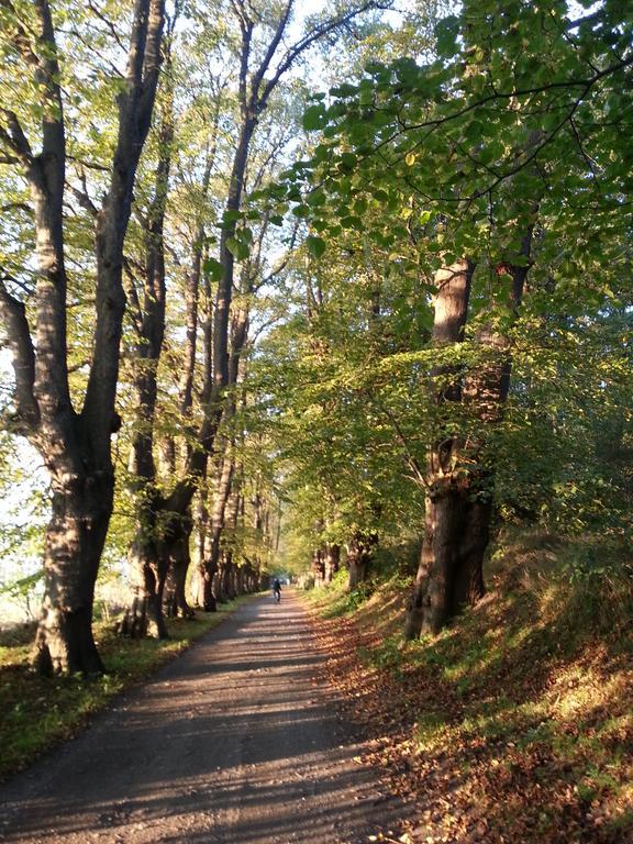 Ferienwohnungen Ruegen Findling Breege Buitenkant foto